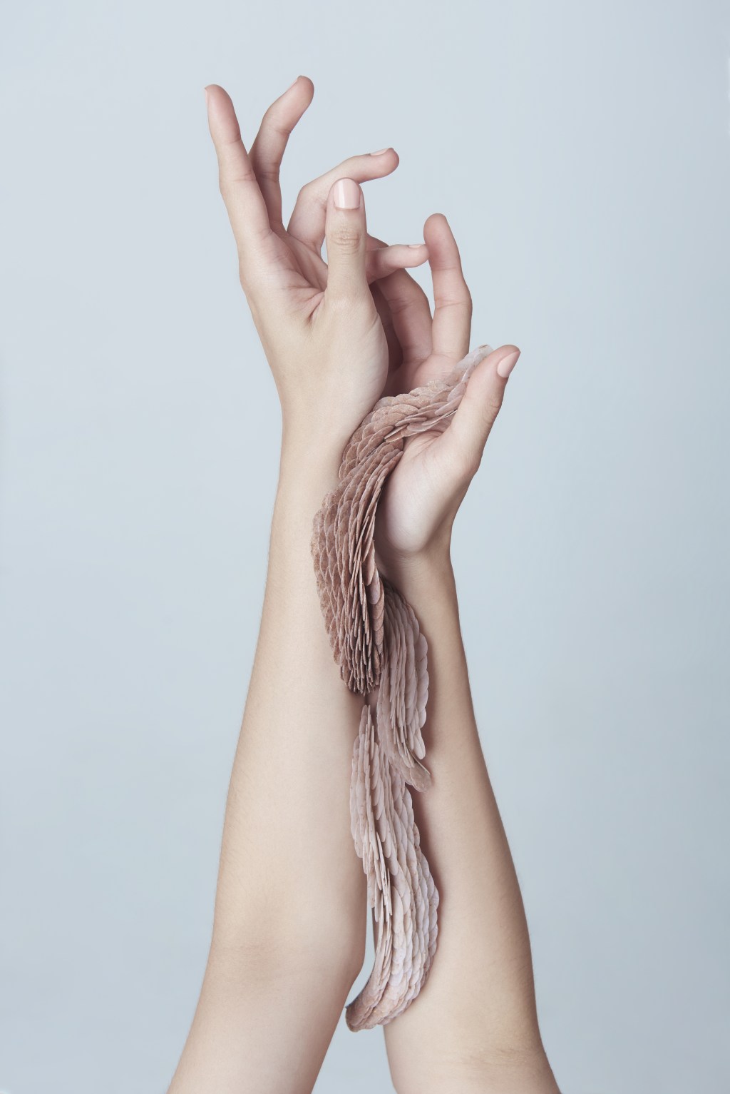 Self-sufficiency / Sustainability / Jewellery / Aesthetics&nbsp;(EN)